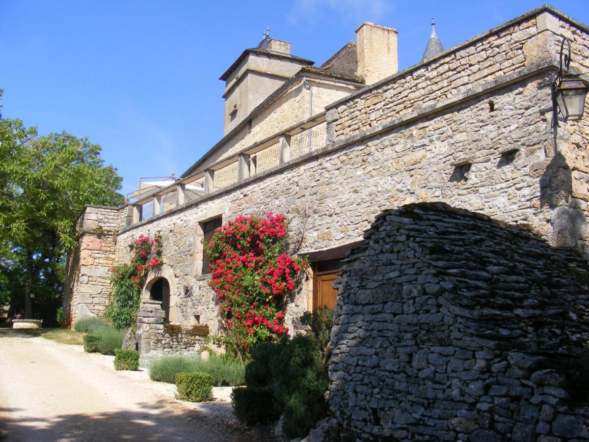 Chateau De Laumiere Promilhanes Exteriör bild